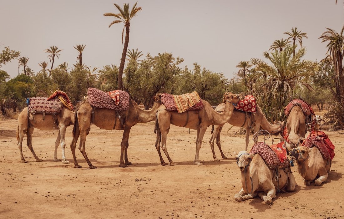 اعتقال أمريكي سرق طائرة وهدد بتحطيمها