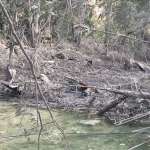 أضرار جسيمة على ضفاف الليطاني بعد غارات طيرفلسيه