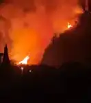 بالصور- حريق ضخم يلتهم احراج بطرماز