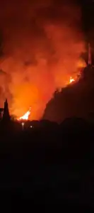 9d7ec7aa-64ed-45c3-96f0-b605442d8b09-133x300-1