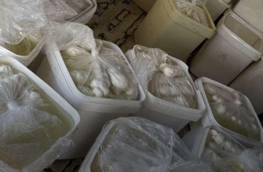 ضبط أجبان سورية مهربة