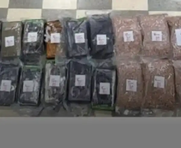 سيّارة محمّلة بالمخدّرات… من أوروبا إلى لبنان