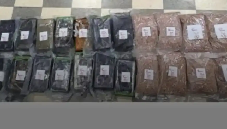 سيّارة محمّلة بالمخدّرات… من أوروبا إلى لبنان