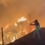 بالفيديو- نيران جهنّم تمتدّ الى بكاسين… أكبر الأحراج المثمرة في الشرق بخطر!