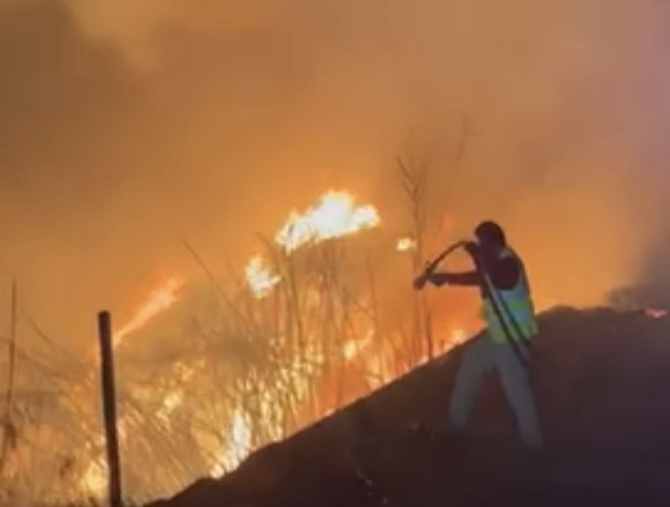 بالفيديو- نيران جهنّم تمتدّ الى بكاسين… أكبر الأحراج المثمرة في الشرق بخطر!