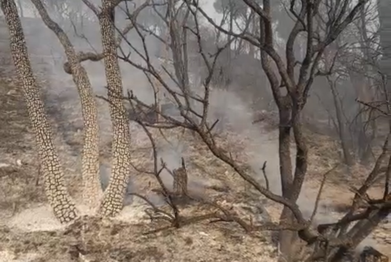 فيديوهات من بكاسين لأماكن نجح الدفاع المدني في السيطرة على الحريق فيها