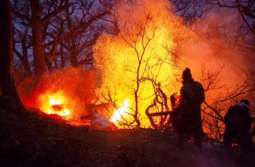 حريق يلتهم غابات إيرانية مدرجة على قائمة التراث…