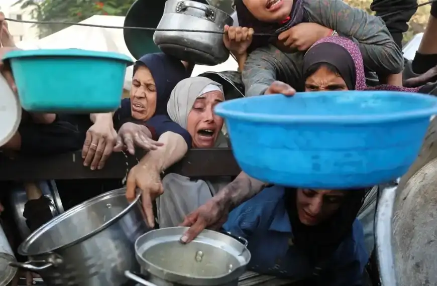 طعام بـ”رائحة النفايات”.. مأساة غير مسبوقة يشهدها الغزيون