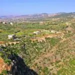 “موجة بيع”.. هذا ما يحدث جنوبًا