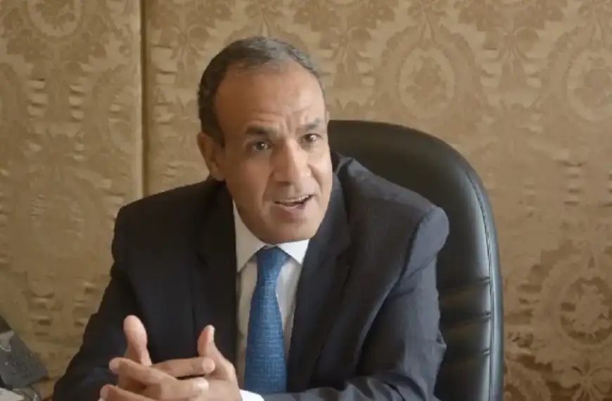 هذا ما نقله عبد العاطي للبنان