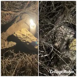 a721f393-aa92-459c-8ac1-4c76823dc828-300x300-1