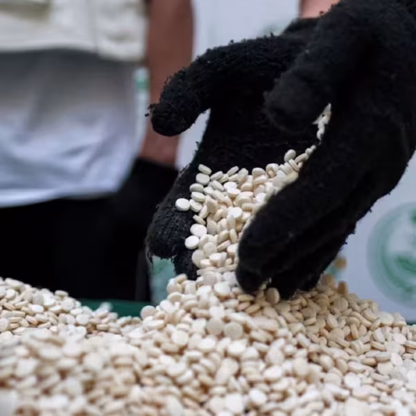 اللحظة التي ارتجفت فيها الدويلة: لماذا بدأ تفكيك…