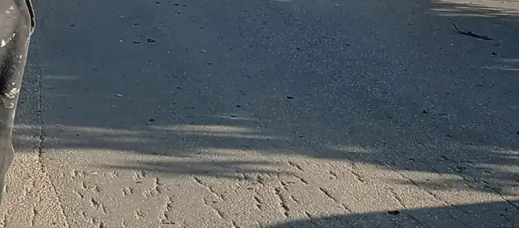 e1207076-97c8-4524-9b80-09ac29bf6eaf