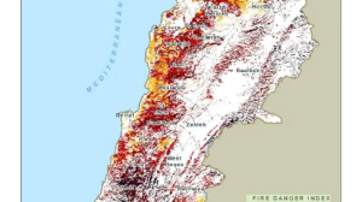 لبنان يحترق: أين الـ 3 ملايين دولار وخطّة المكافحة؟
