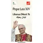 بالصورة- ألفا ترفع شعاراً لاتينياً ترحيباً بالبابا