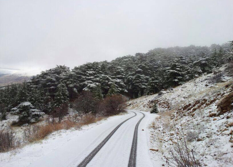 بالفيديو- مشهد الثلوج في عيناتا الأرز