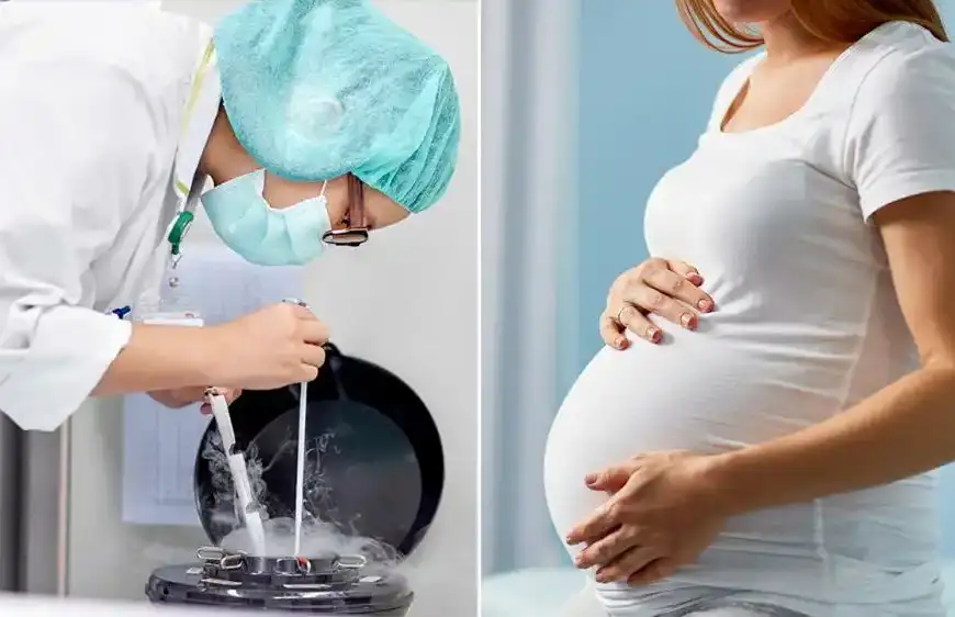 اللبنانيات يجمّدن بويضاتهنّ… فهل يحملن بعد الـ 60؟