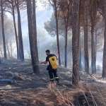 إطفاء الحريق في أحراج بكاسين