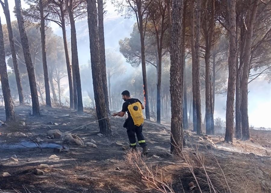 إطفاء الحريق في أحراج بكاسين