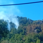 بالفيديو- حريق ضخم في حرش شحيم