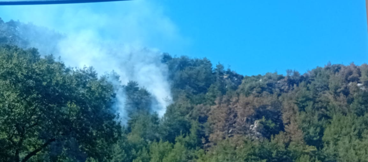 حريق-الضنية