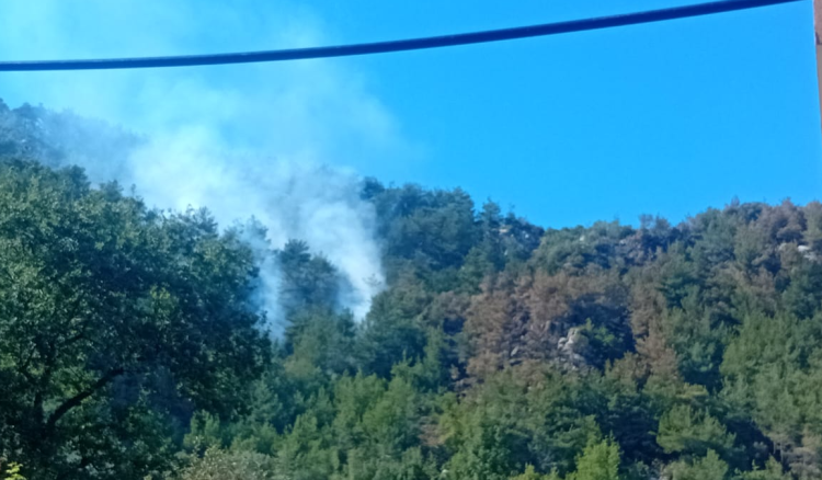 بالفيديو- حريق ضخم في حرش شحيم