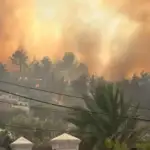 الحرائق تلتهم أحراج لبنان… إبادة بيئية وإهمال وقدرات محدودة