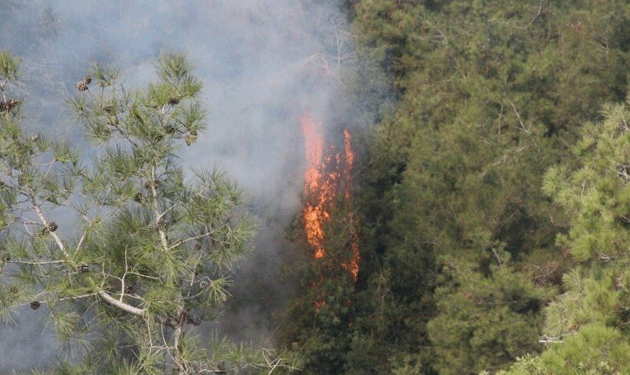 حريق شحيم يقترب من المنازل ومناشدة من الأهالي