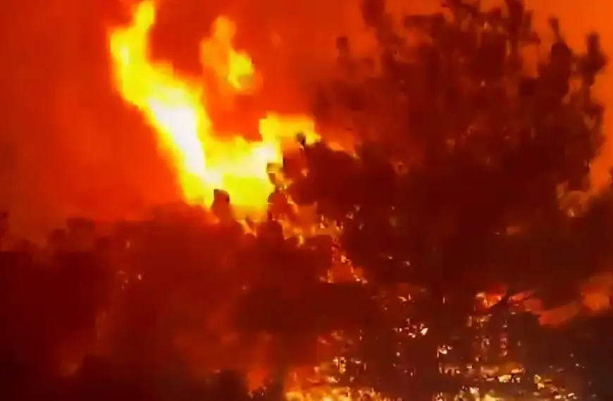 حريق في أحراج بطرماز – الضنية وانقلاب آلية…