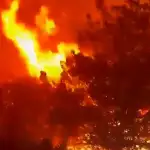 بالفيديو: حريق هائل يلتهم أحراج السنديان في شدرا… وشبهات بافتعاله من قبل مجهولين