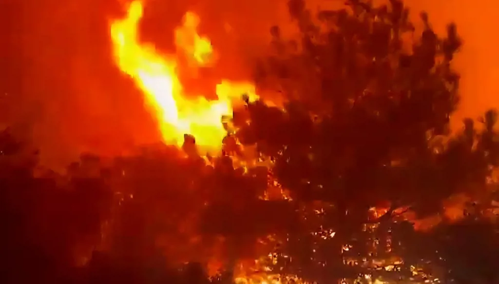 بالفيديو: حريق هائل يلتهم أحراج السنديان في شدرا… وشبهات بافتعاله من قبل مجهولين