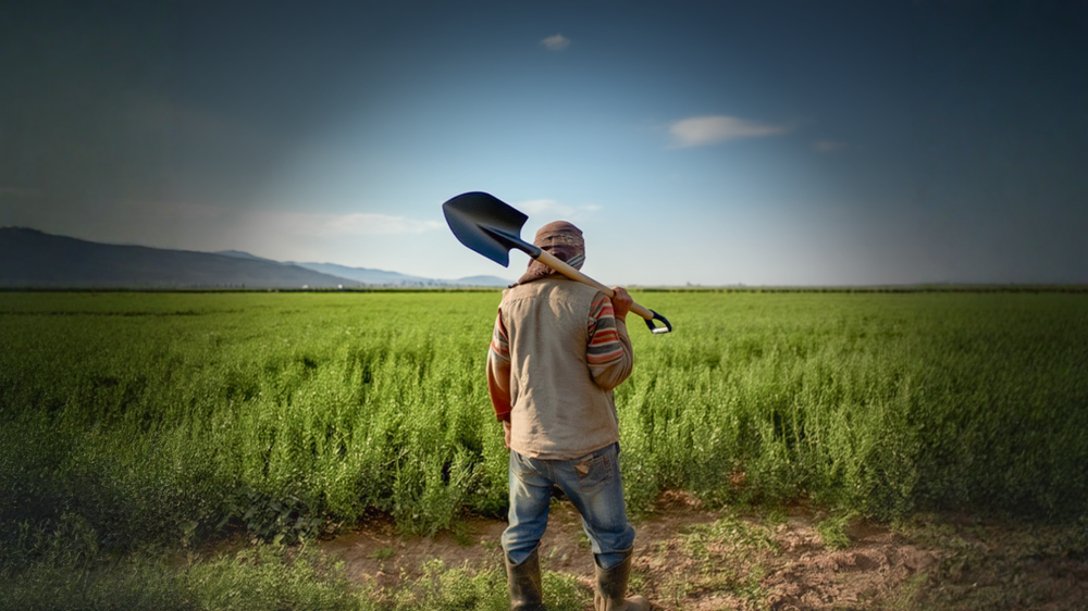 هل دخل لبنان زمن “الذهب الأخضر”؟