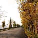 تقلّباتٌ في الطقس، واحتمال حدوث برق ورعد