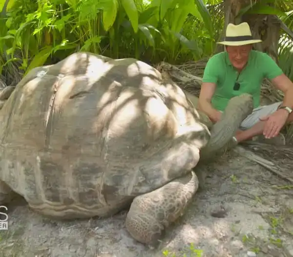 رحيل غراما.. سلحفاة عاشت 141 عامًا وشهدت 20…