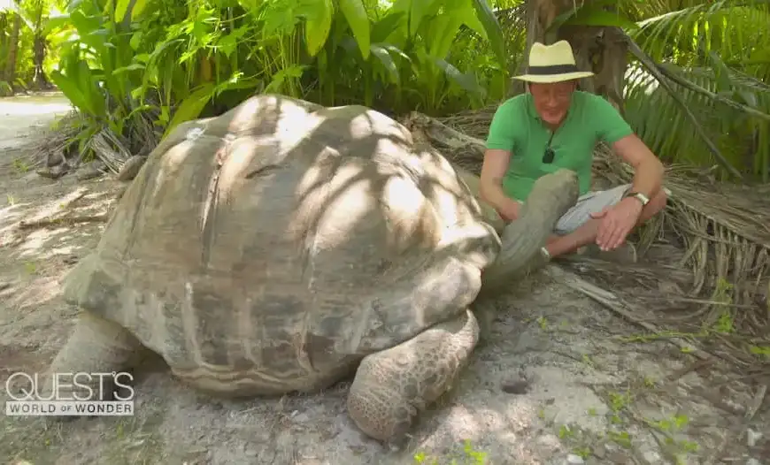 رحيل غراما.. سلحفاة عاشت 141 عامًا وشهدت 20…