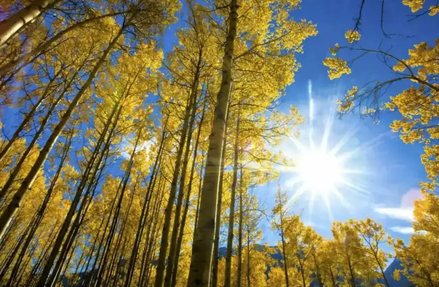 ميني صيفيّة في تشرين: الحرارة 30