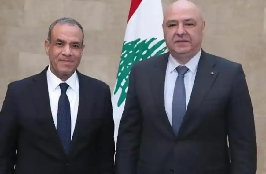 وزير الخارجيّة المصري: المطلوب البناء على رؤية الرئيس عون لتجنيب لبنان التصعيد