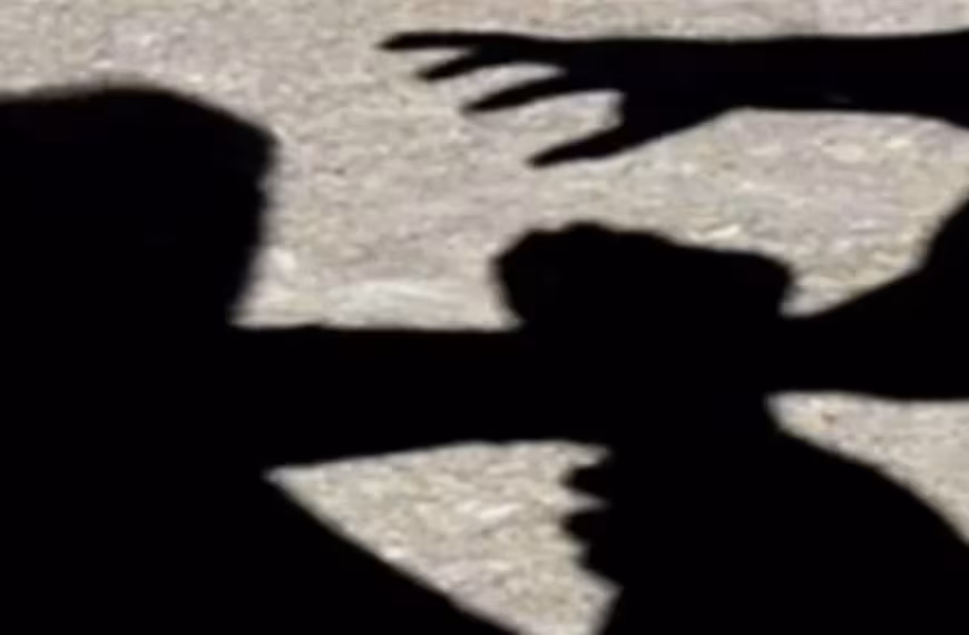 بالفيديو- عراك بالأيدي على طريق عام سدّ البوشرية