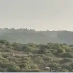 4 قذائف ضوئية على كرم زيتون بين مارون الراس وعيترون