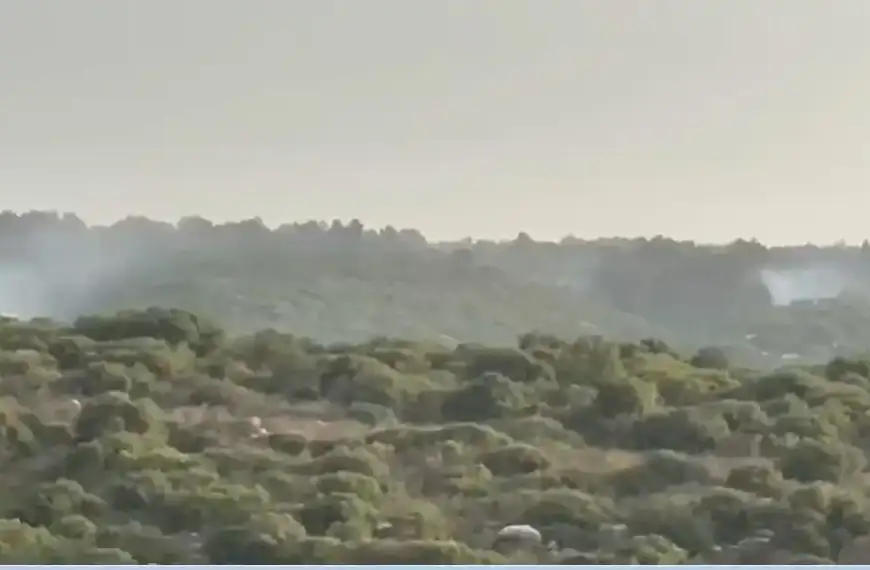 4 قذائف ضوئية على كرم زيتون بين مارون…