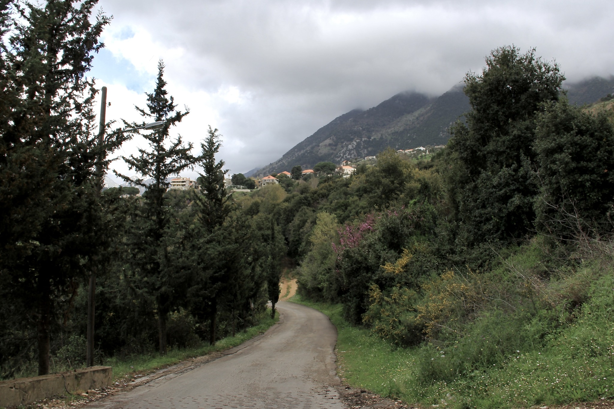 أهالي يحشوش يشكرون المختار زوين