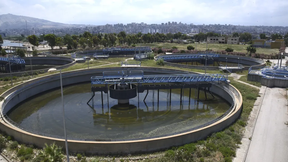 092372F2 4011 4507 B696 3EAFF904F6F0.jpg