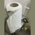 في مرحاض البرلمان