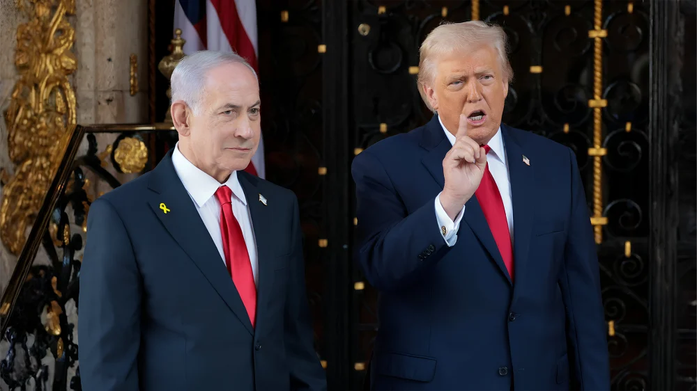 COVER-31-NOTEXT_822198