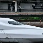 ضيف غير متوقع.. من عرقل أحد أسرع القطارات في العالم؟