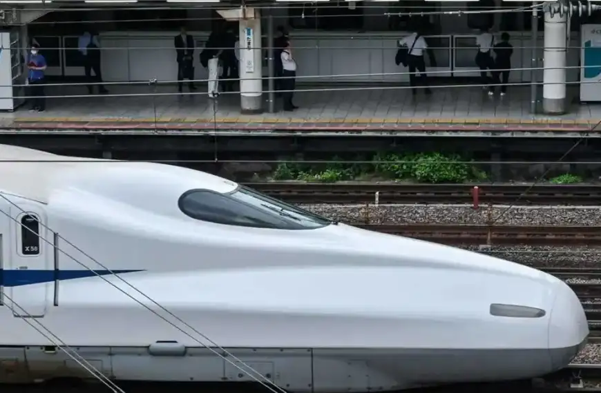 ضيف غير متوقع.. من عرقل أحد أسرع القطارات…