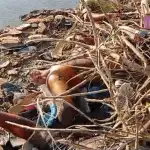 جثث في القناة… تحقيق استقصائي CNNJ يكشف فظائع ارتكبها الجيش السوداني”