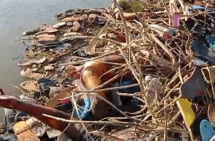 جثث في القناة… تحقيق استقصائي CNNJ يكشف فظائع&hellip;