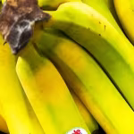 تقرير يكشف علاقة لون الموز بفوائده الصحية