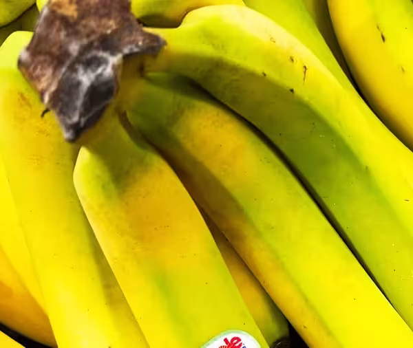 تقرير يكشف علاقة لون الموز بفوائده الصحية